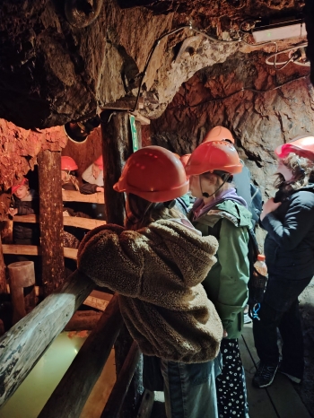 558900687_1255123746415406_4589547382191088914_n