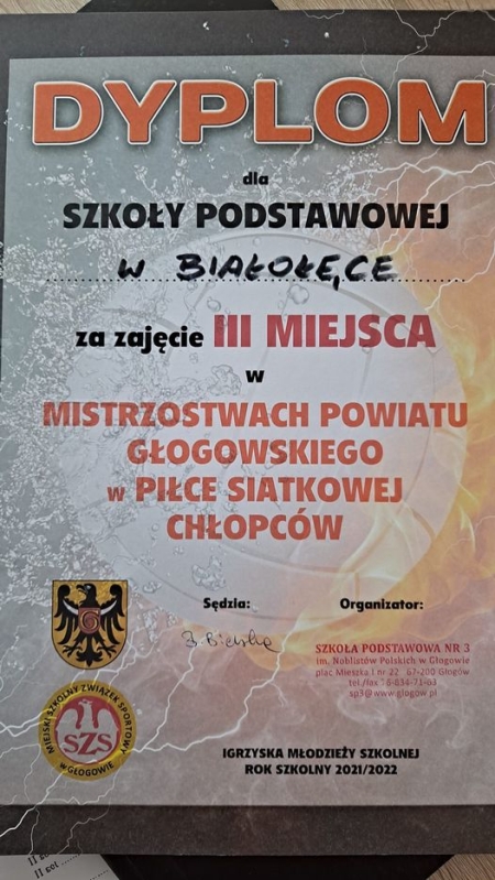 Finał Mistrzostw Powiatu w Piłce Siatkowej Chłopców w Głogowie  III M-CE 