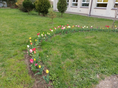 Ukwiecone otoczenie szkoły.