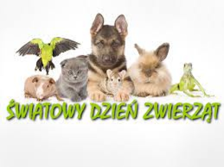 Światowy Dzień Zwierząt 