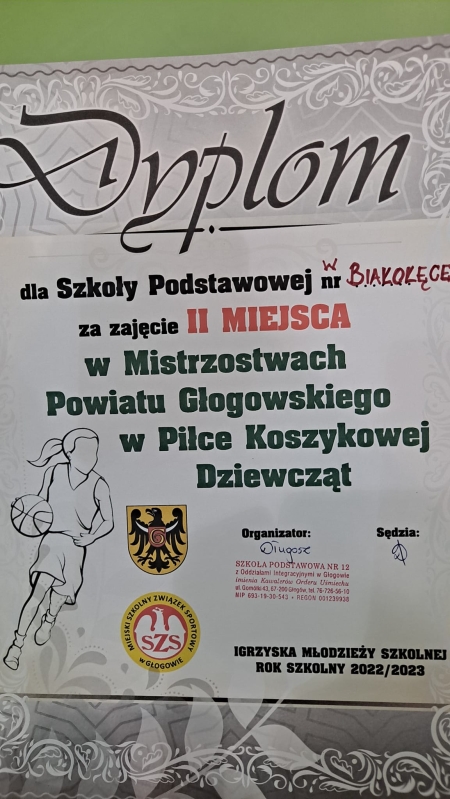 Finał Mistrzostw Powiatu w Piłce Koszykowej Dziewcząt w Głogowie