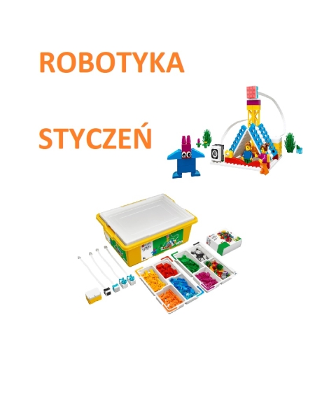 Zajęcia z Robotyki