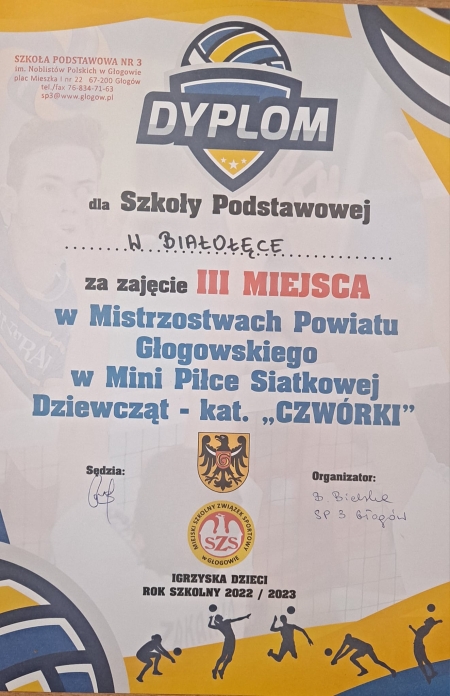 Finał Mistrzostw Powiatu w Piłce Siatkowej Dziewcząt 