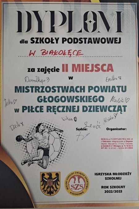 II m-ce / V-ce Mistrzynie Powiatu Głogowskiego w Piłce Ręcznej Dziewcząt