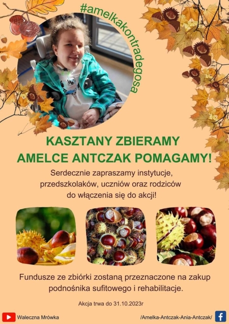 KASZTANY ZBIERAMY - AMELCE POMAGAMY